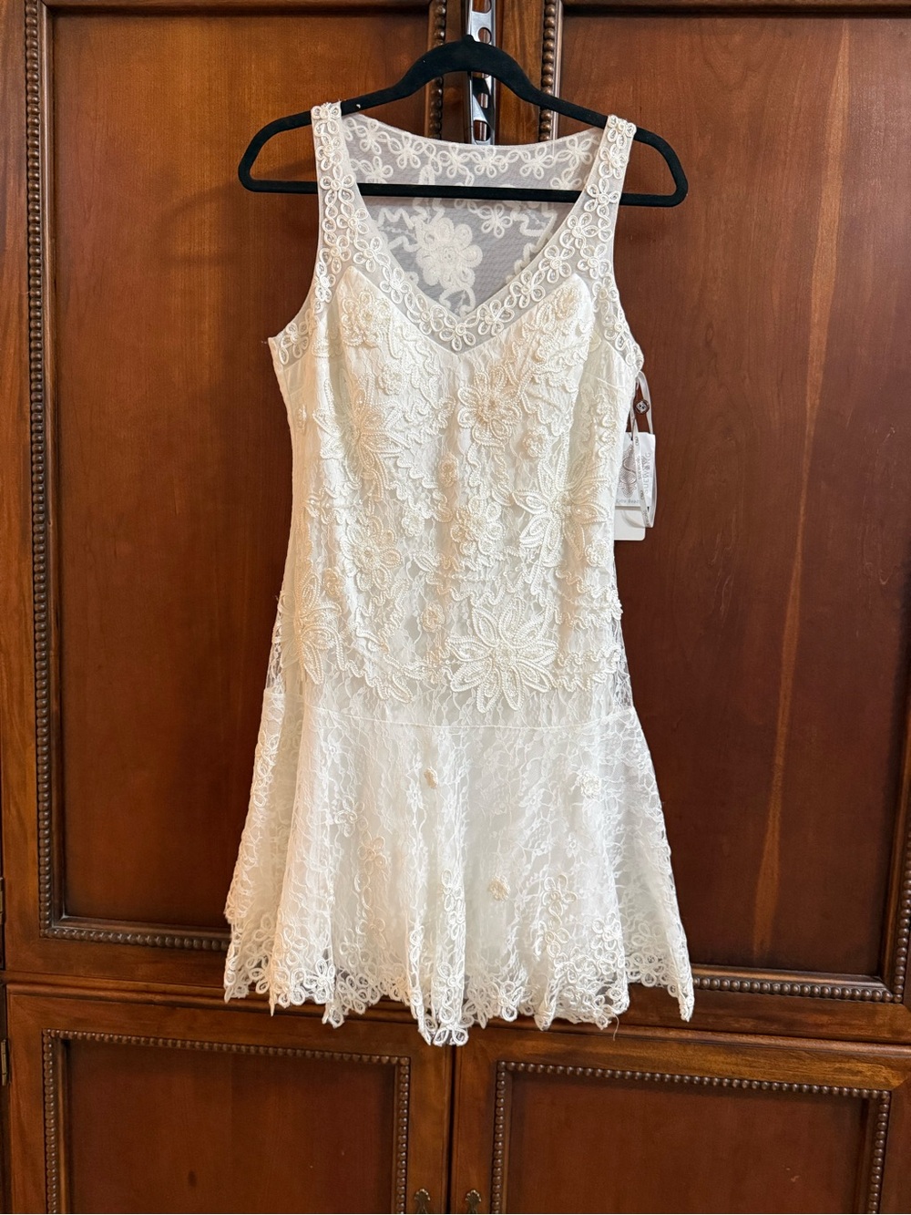 Vintage Sue Wong Ivory Lace Sleeveless V-Neck Dress